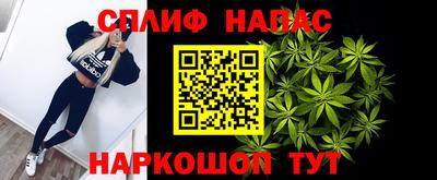 стаф Будённовск